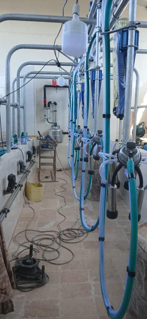 سرویس دوره‌ای